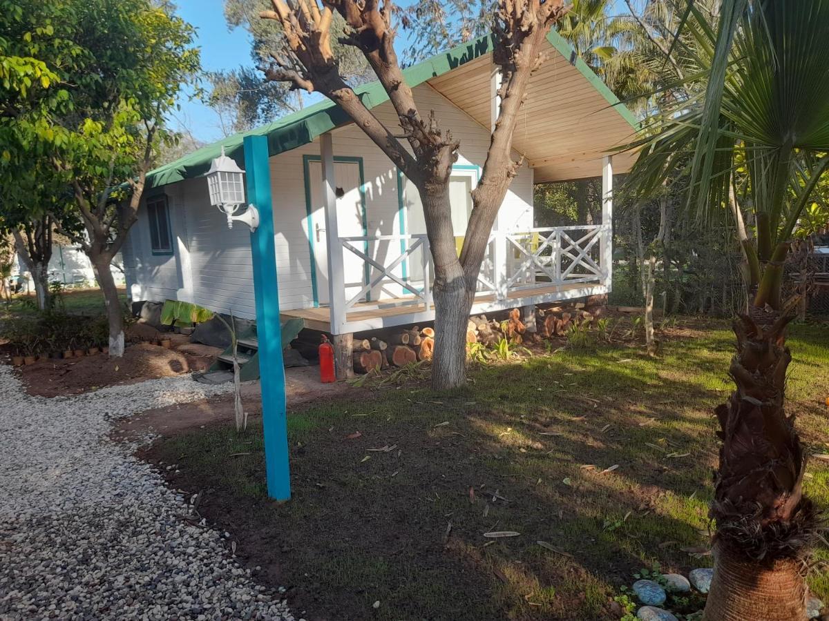 Bellerofon Beach Otel Çıralı Exterior foto