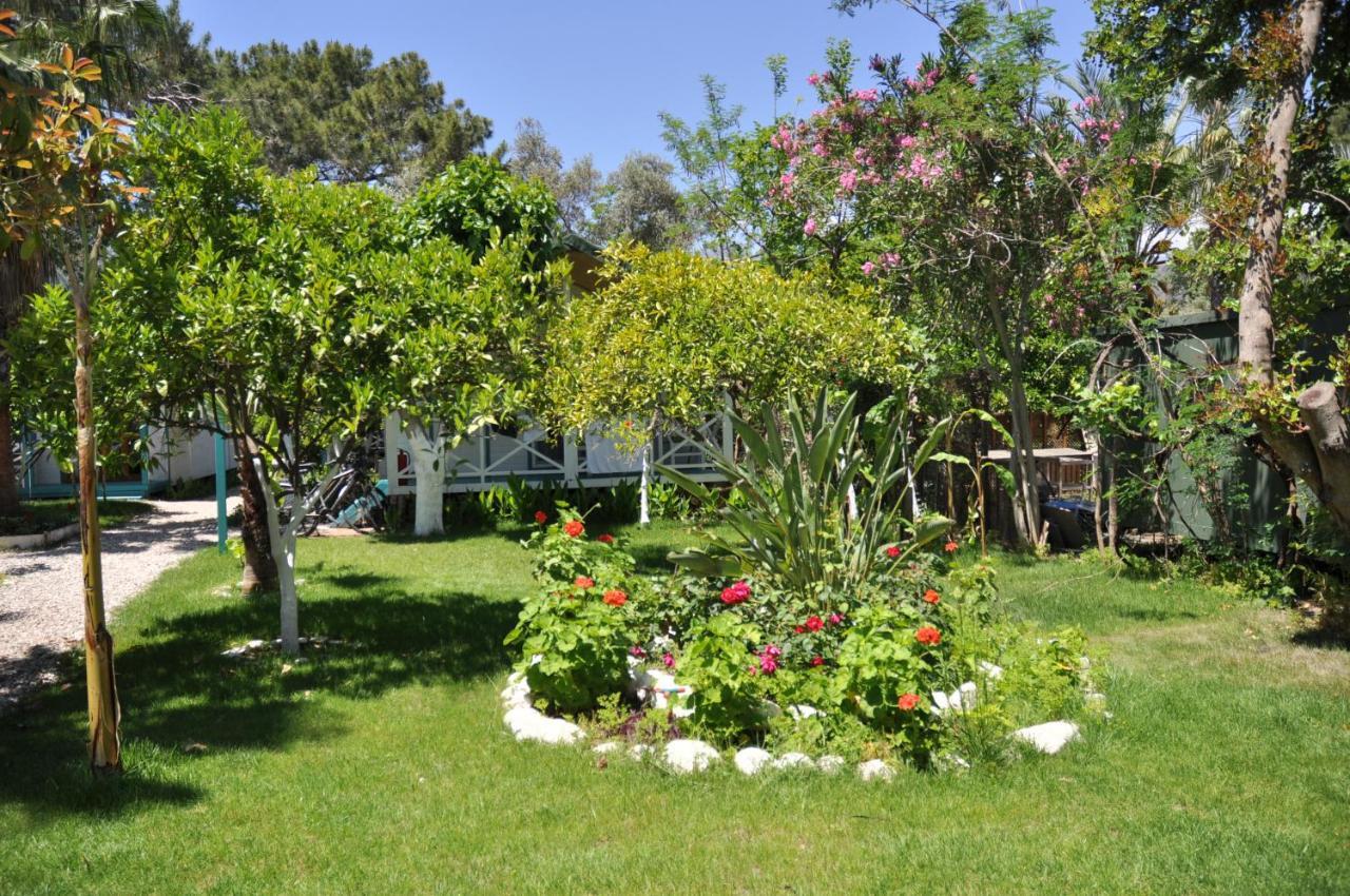 Bellerofon Beach Otel Çıralı Exterior foto