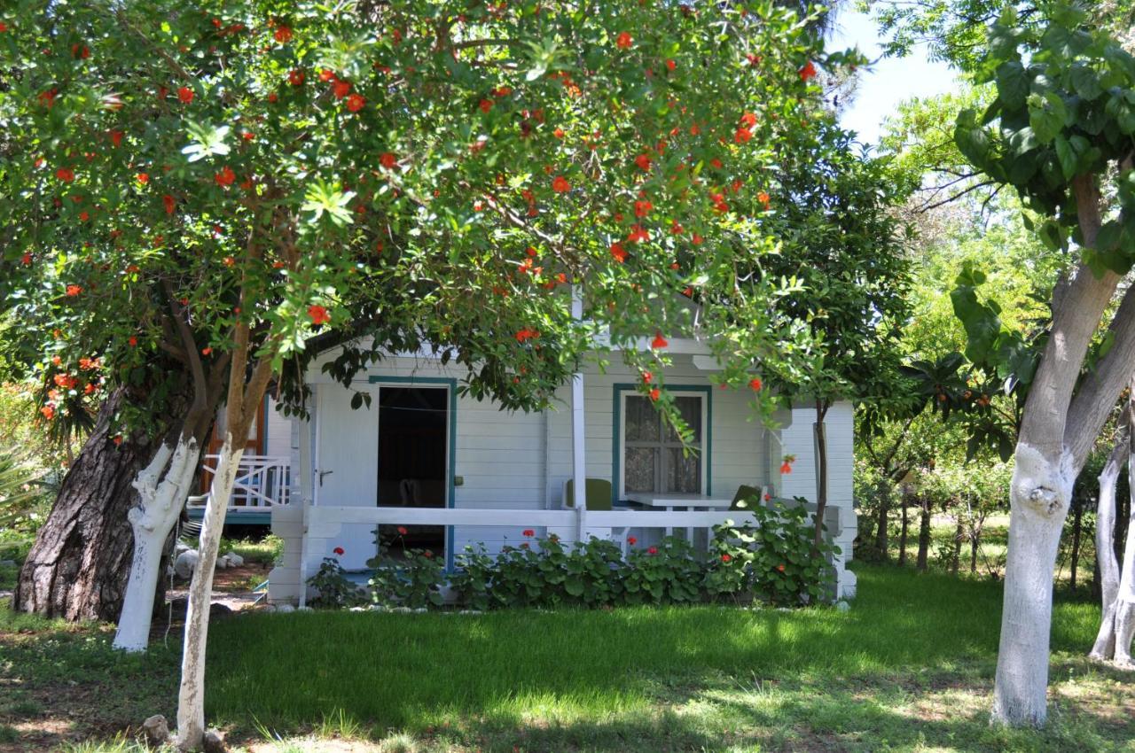 Bellerofon Beach Otel Çıralı Exterior foto