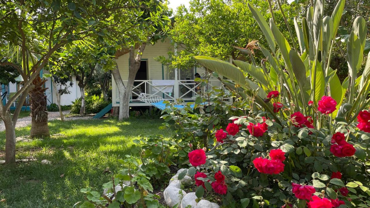 Bellerofon Beach Otel Çıralı Exterior foto