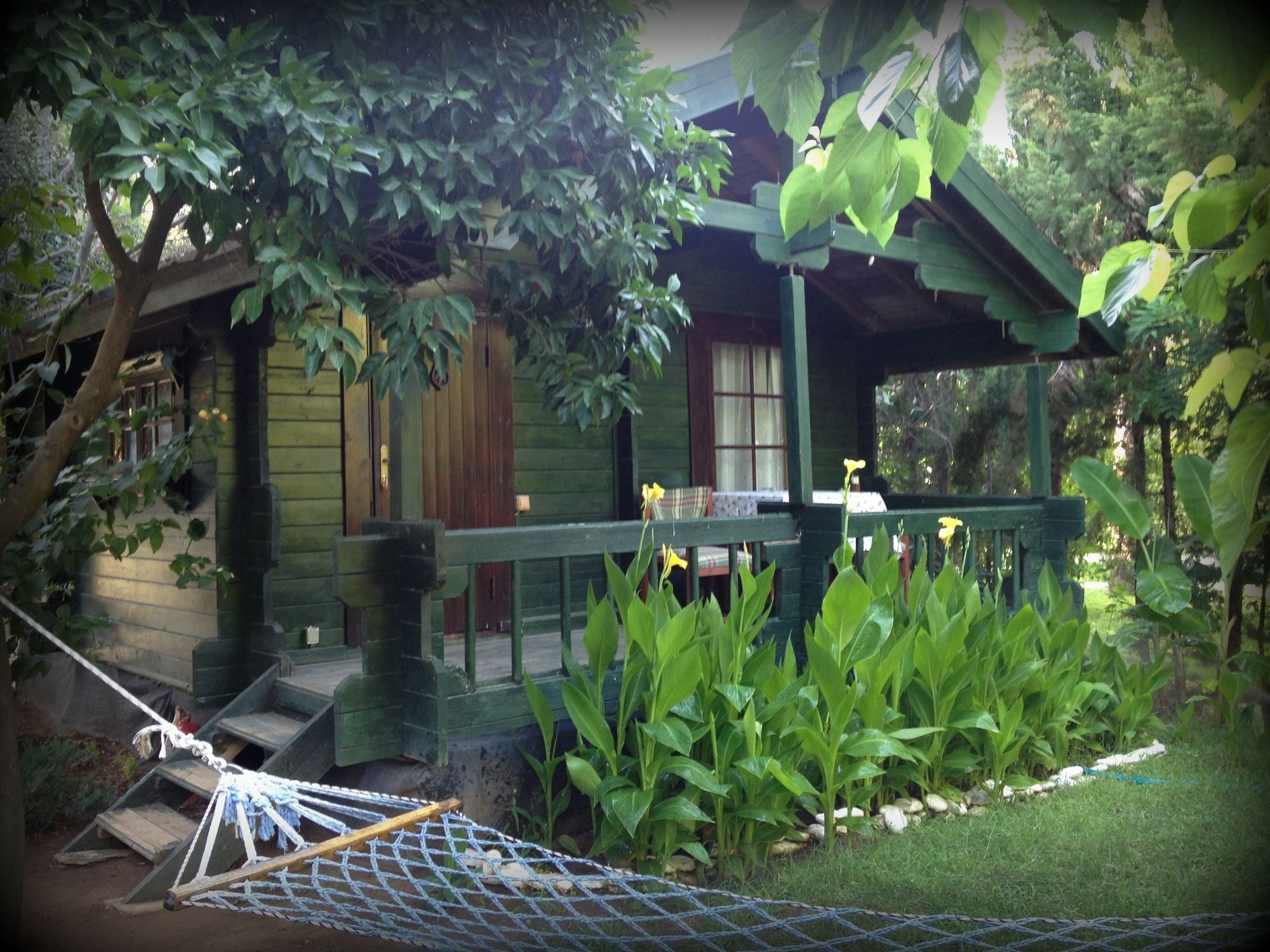 Bellerofon Beach Otel Çıralı Exterior foto